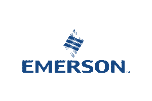EMERSON POWER TRANSMISSION