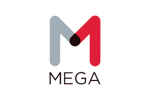 Mega Group Inc