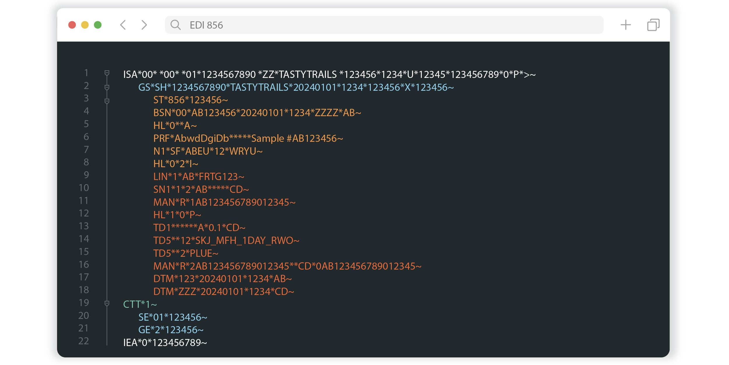 Visual of the EDI 856 format