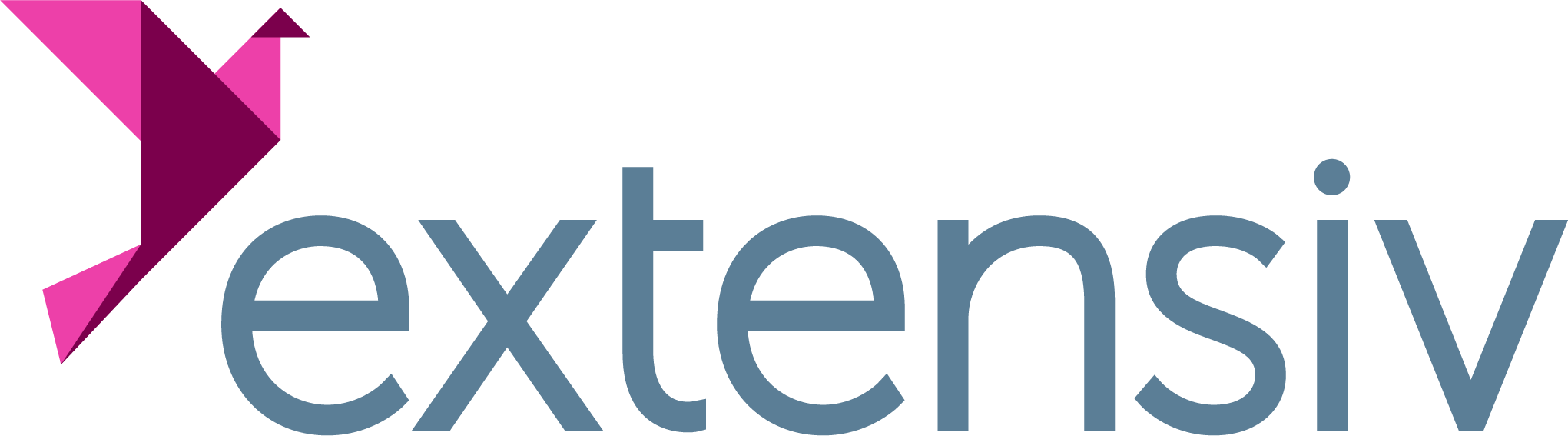 Extensiv Logo