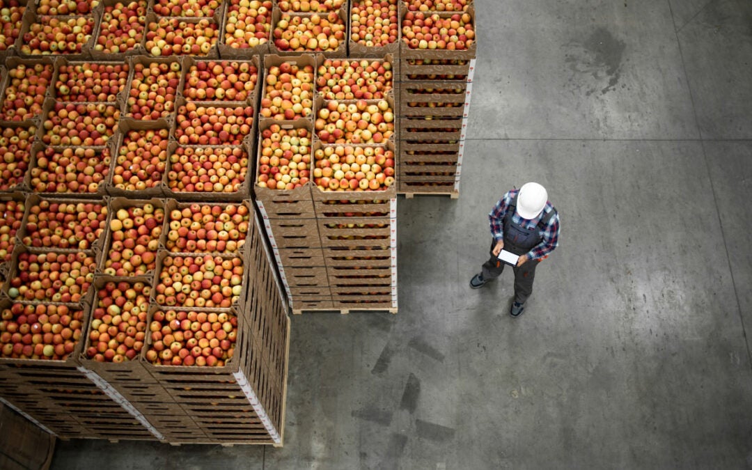 The cost of inefficiency: how siloed food supply chain data holds you back