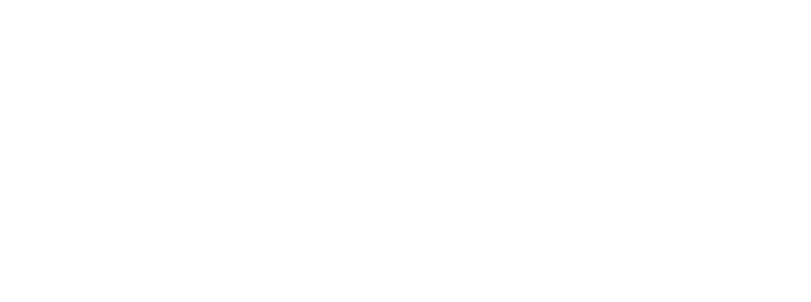 Logo-SCN